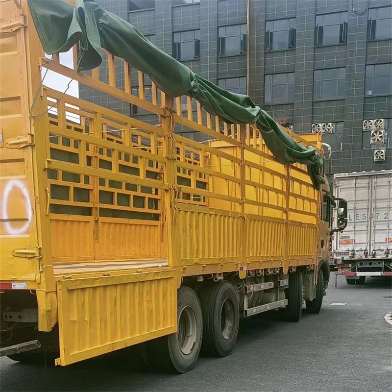 拉萨市灵璧县物流运输：多元服务与高效线路探秘
